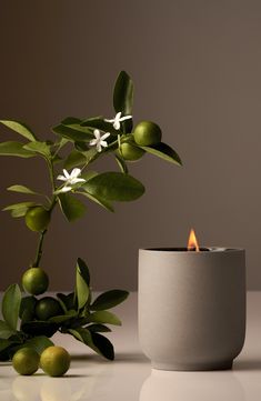 a candle that is sitting next to some green leaves on a white counter top with an olive tree in the background