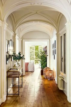 a hallway with wooden floors and white walls, along with potted plants on the far wall