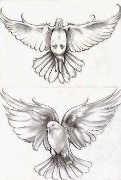 two drawings of doves with wings spread out and facing the same direction in different directions