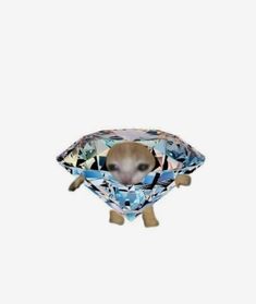 a dog is sitting in the middle of a diamond shaped object with its eyes closed