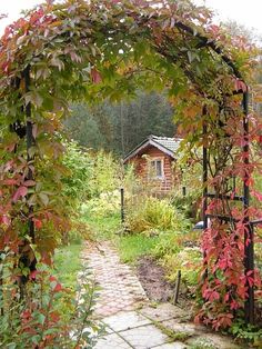 an archway with red leaves on it is in the middle of a garden and surrounded by greenery