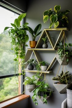 some plants are hanging on the wall next to a window