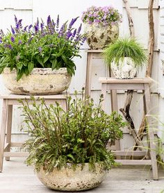 two planters sitting next to each other on top of a wooden table in front of a white building