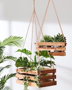 hanging planters made from wooden pallets with plants in them