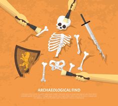 the skeleton is being held by two hands with other items around it - miscellaneous objects