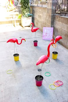 three pink flamingos standing on top of potted plants