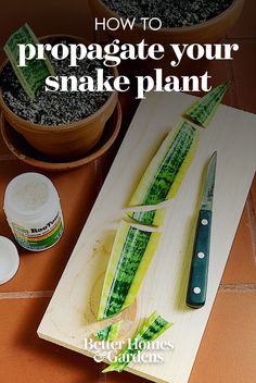 a cutting board with a knife on it next to some plants and other kitchen gadgets