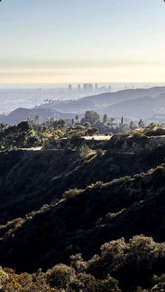 a view of the city skyline from atop a hill with trees and bushes on it