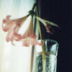 a flower in a vase on a window sill next to a glass filled with water