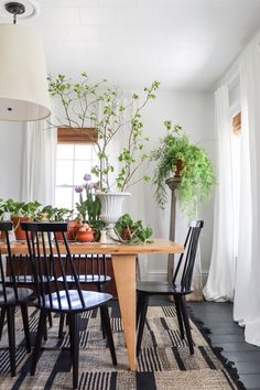 a dining room table with chairs and plants on it