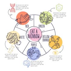 a diagram showing the different types of food that people eat and how to use it