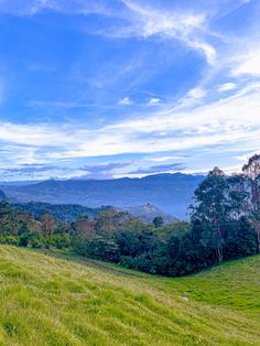 a grassy field with trees and mountains in the background