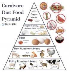 Diet Types, Paleo Diet Food List, Beef Kidney, The Carnivore Diet, Salmon Roe, Carnivore Diet, Recipes Diet