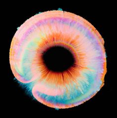 an image of a rainbow colored eyeball with the words polarity written on it