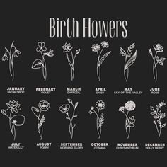 the birth flowers are shown in black and white