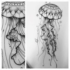 two drawings of jellyfishs in black and white