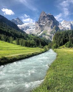 a river running through a lush green valley surrounded by mountains in the distance with grass and trees on both sides