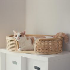 a cat laying in a basket on top of a white shelf next to a wall