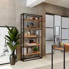 a room with a potted plant and bookshelf