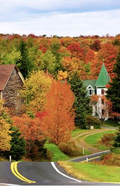 a rural road surrounded by trees with autumn foliage on both sides and houses in the background