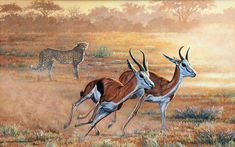 two antelope running in the grass with a giraffe and zebra in the background