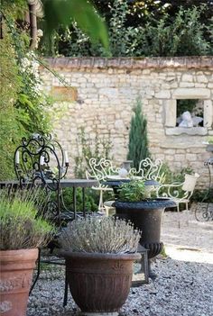 several potted plants are sitting outside on the graveled ground in front of an old stone building