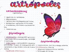 a poster with an image of a red butterfly on it's back and words in spanish