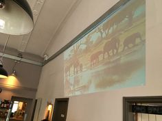 an elephant painting is projected on the wall above a restaurant dining room table and chairs