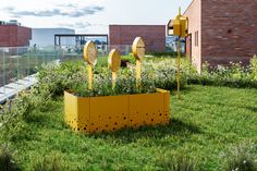 a yellow planter filled with lots of plants on top of a lush green field