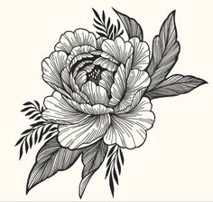 Calathea Plant Tattoo, Engraving Flower Tattoo, Flower Chest Tattoo Men, Tattoo Flower Stencil, Traditional Japanese Flower Tattoo, Gothic Flowers Tattoo, Big Flower Tattoos, Woodcut Flower, Gothic Flower Tattoo