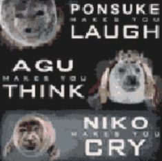 an advertisement for the niko and cry film, featuring four different dogs with their mouths open