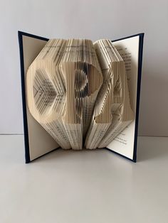 an open book with folded pages in the shape of a flower on top of it