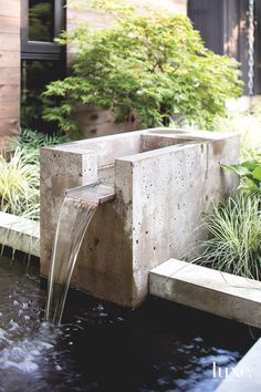 a water fountain in the middle of a garden