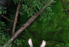 a person standing in the grass with their feet up on some logs and mossy ground