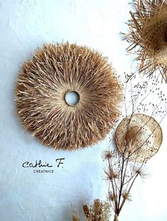 three dried plants and two straw hats hanging on the wall