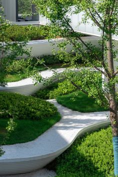 a tree and some bushes in front of a building with a curved walkway leading to it