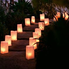 many lit up paper lanterns are on the ground