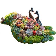 a decorative bird made out of succulents and plants