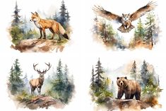 four watercolor paintings of animals and birds in the woods with pine trees behind them