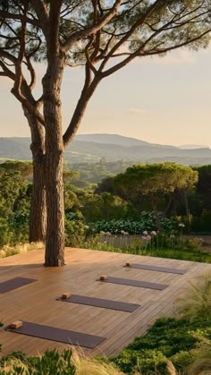 a wooden deck with yoga mats under a tree