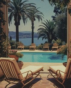 two lawn chairs sitting next to a swimming pool with palm trees in the background,