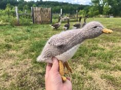 a hand holding a knitted bird in front of ducks on the grass near a fence