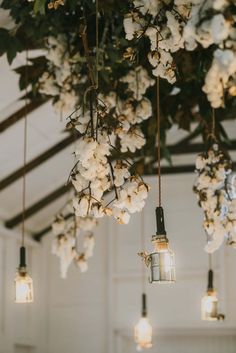 several lights hanging from the ceiling with flowers on them and plants growing out of them