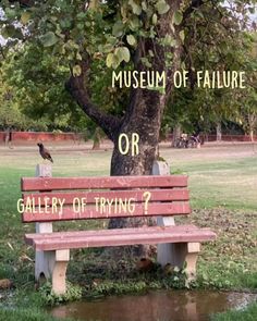 Museum Of Failure, Museum Of Failure Or Gallery Of Trying, Unspoken Words, Reminder Quotes, What’s Going On, Some Words, Fake Story, Quote Aesthetic, Pretty Words