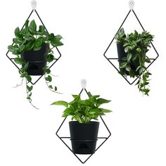 three hanging planters with plants in them, one on the left and one on the right