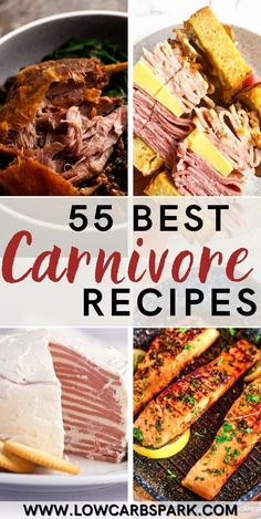 the top five best carnivor recipes