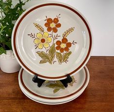 a stack of plates sitting on top of a wooden table next to a potted plant