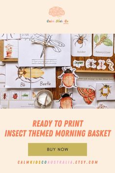 the words ready to print insect themed morning basket are shown above pictures of bugs and insects