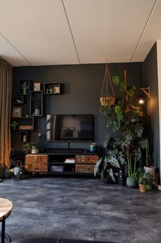 a living room filled with lots of plants next to a flat screen tv mounted on a wall