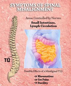 T12 Acupuncture Point, Medical Anatomy, Knowledge Is Power